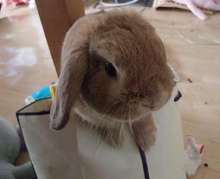 2009.01.14ちとのぼせたかのぉ.jpg