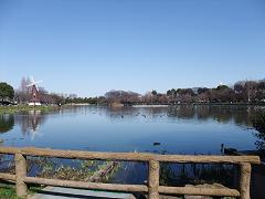 2009.03.17池1.jpg