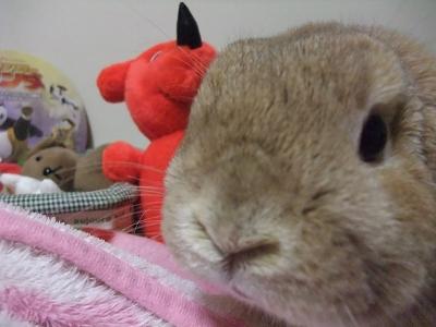 2008.12.20困るなぁ.jpg