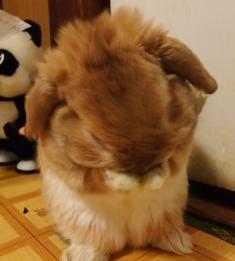 2009.03.24手に汗握る1.jpg