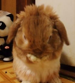 2009.03.24手に汗握る3.jpg