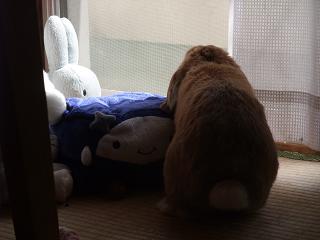2009.02.15つまんなかったでぷ.jpg