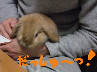 2009.01.24だっしゅつぅ.jpg