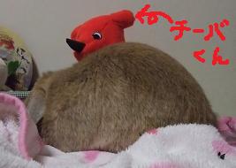 2008.12.27チーバくんと.jpg