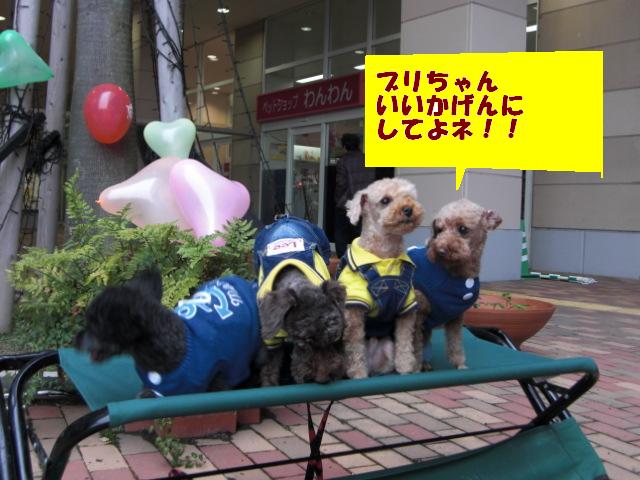 ビバルディ 134.jpg