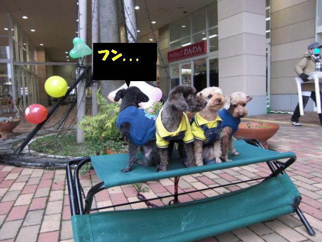 ビバルディ 130.jpg