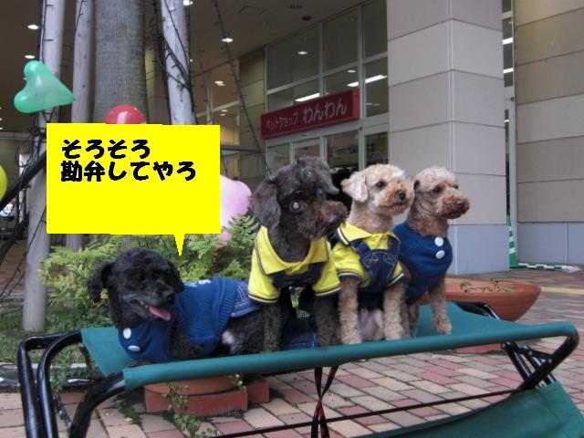 ビバルディ 136.jpg