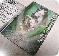 byｲﾅｽﾞﾏ･ｼﾞｮｰさん♪5.jpg