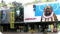 桂浜2.jpg