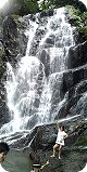 2011 白糸の滝♪.jpg