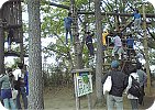 ﾌｨｰﾙﾄﾞｱｽﾚﾁｯｸ-3.jpg