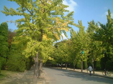 大阪城の公園