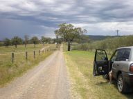 オリーブ畑の周り