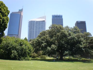 Ｒｏｙａｌ　Ｂｏｔａｎｉｃ　Ｇａｒｄｅｎから会社を見る