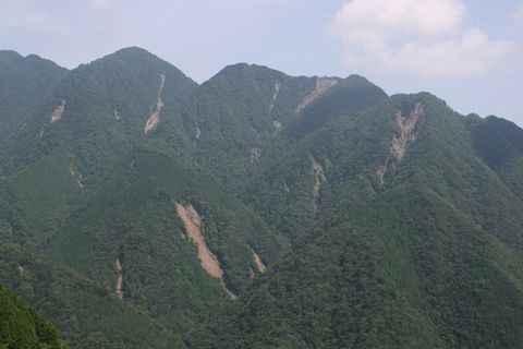 2010-08-16, 林道豊岡梅ヶ島線 037.jpg