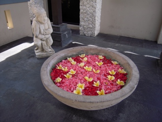 0822_Frangipani3.JPG