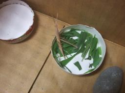 バッタ