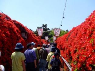 長岡天神