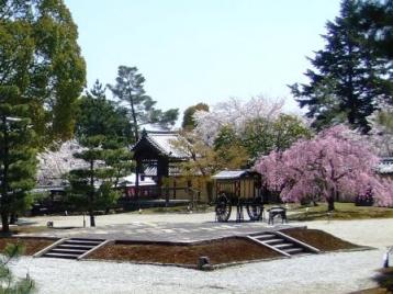 大覚寺の庭