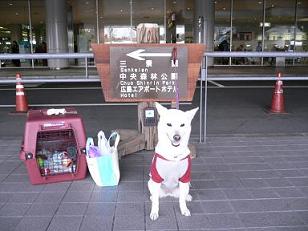 1-2広島空港1
