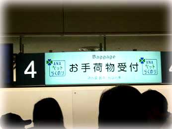 12-29羽田2