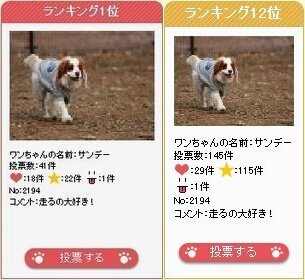 『CANE Style』犬フォトコンテスト