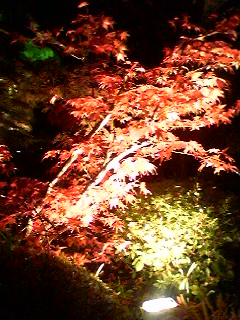 061112_1750~01.jpg