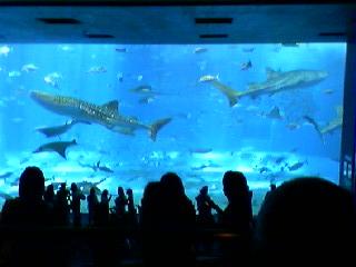 070621_1414~01.jpg