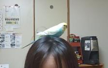 髪飾り