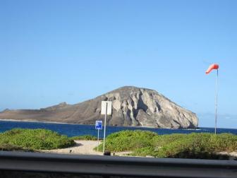 ラビット島