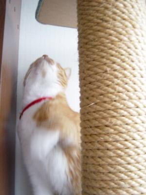 よ～し！