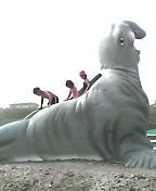 あざらしの滑り台