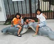 とっかりランド