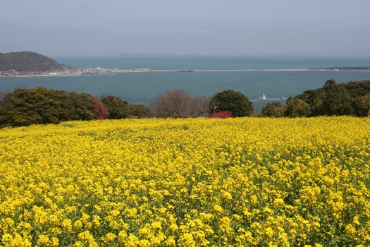 能古島3