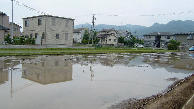 田植え前（代掻き作業後）