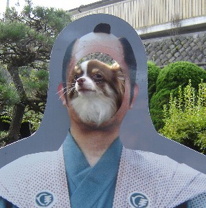 伊香保のお殿様ですー