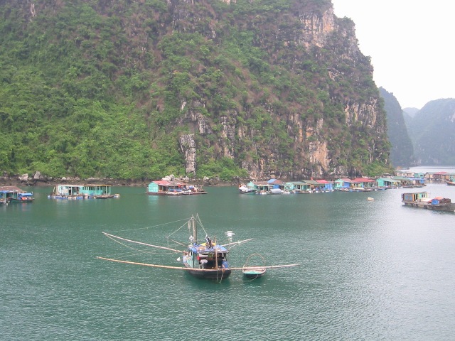 Halong3