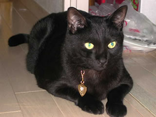 2005100401