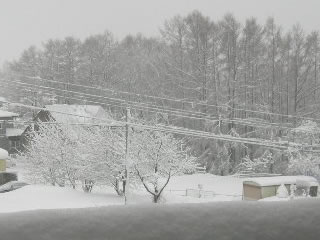 06122902