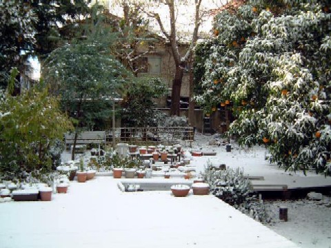 雪の庭2