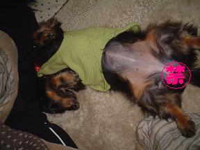 無防備すぎる！