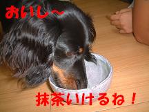 お抹茶おいしい～