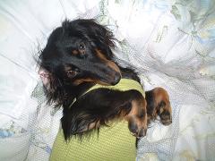 お布団きもちい～～