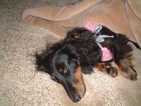 あったかい～～ねむねむ