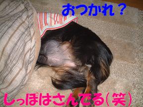 ぐっすりねんね