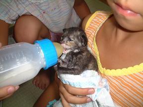 ベビーのちゃーちゃん♪