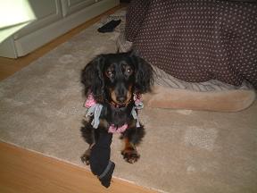 靴下だいすき☆