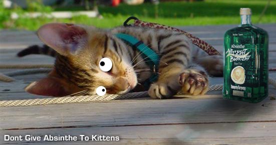 kittin