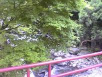 DSC00217.JPG