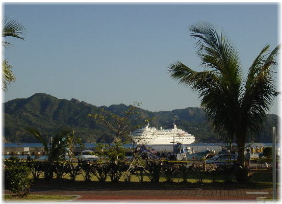 飛鳥＠父島(小笠原)2002.3